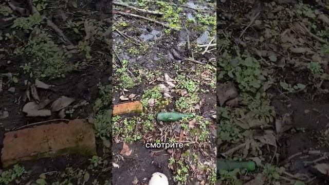 ПОТОП НА УЧАСТКЕ #домвдеревне