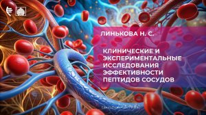 Клинические и экспериментальные исследования эффективности пептидов сосудов