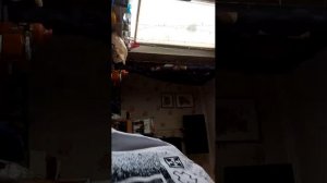 тренировка