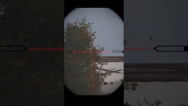 DayZ mod