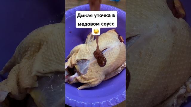 Дикая уточка в медовом соусе смотреть онлайн