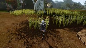 Archeage: Маслянистые семена