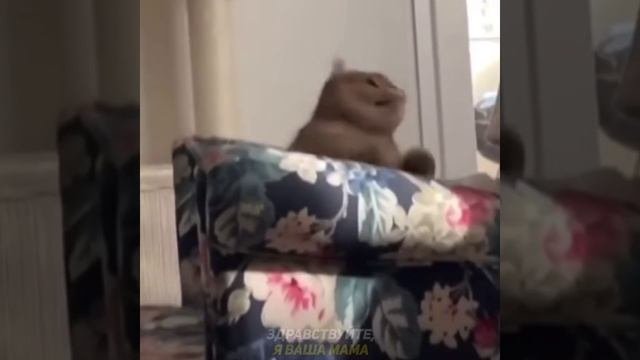 😂