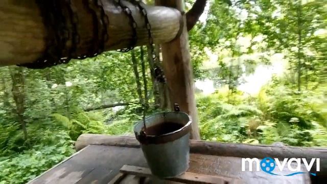 Эти необычные загадки ставят иногда в тупик.//Кто и почему оставил очки в дупле дерева? смотреть онлайн