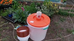 5000 перца, и о том как мы стали заниматься цветами!