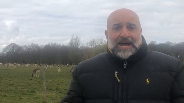 Unfortunate frisbee incident update смотреть онлайн