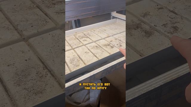 Интриги на стеллажах😂