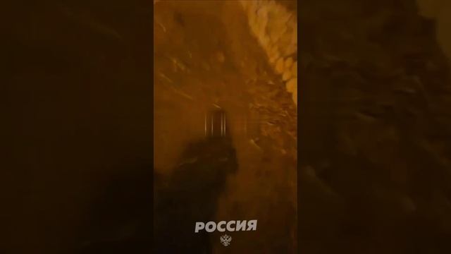 Девушка в Хайфе говорила на иврите, но тут ракета Хезболлы упала рядом, и она вспомнила родной язык