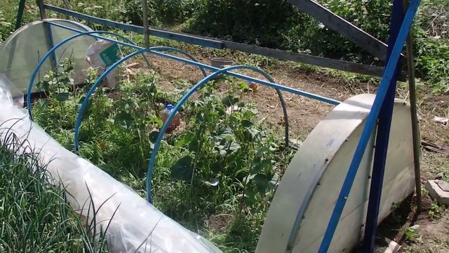 Универсальная самоделка своими руками !!! Шпалера для огурцов. смотреть онлайн
