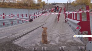 В Ачинске из Чулыма достали тела погибших водителя и пассажира грузовика