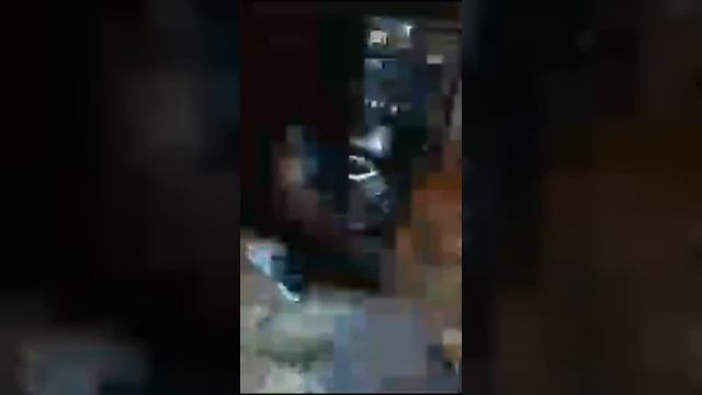 Avijit смотреть онлайн