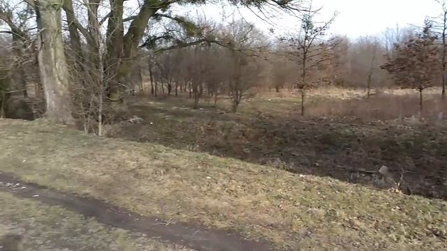 LZ1ABC in ARRL DX contest SSB 2017- portable opreration смотреть онлайн