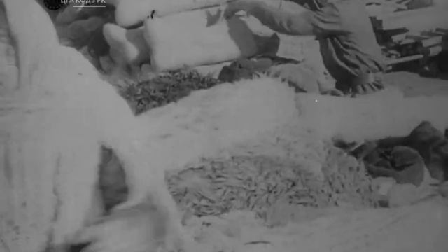Помощь фронту ВОВ от жителей г. Джамбул, 1942 год