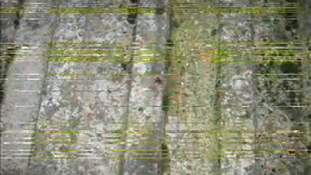 Herbst und Vergänglichkeit - Michael Mutschlechner смотреть онлайн