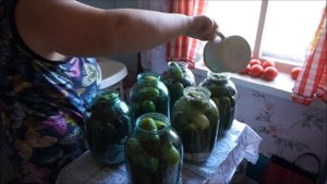 Солим огурцы на зиму.