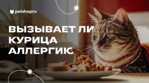 Курица в составе кормов для собак и кошек. Вызывает ли она аллергию?