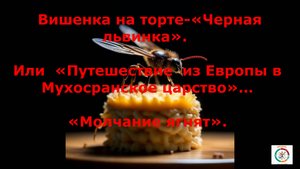 Муха черная львинка- "вишенка на торте" ! Пробиваем второе дно.