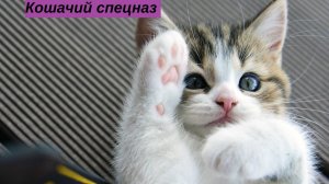 ✅ Хорошего дня Вам❤️