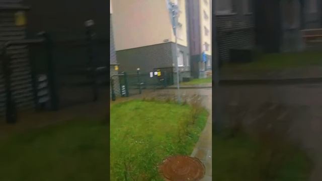 А Где Снег На Новый год ? Еще Вчера Были сугробы  Калининград