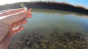 ЛОВЛЮ ОДНОУХОЙ МОРМЫШКОЙ..👀 | NAUTILUS ANT 0.2 - 1.5 #рыба #рыбалка #fishing #fish