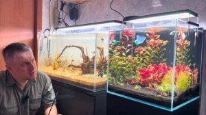 Стоит ли запускать аквариум быстро?