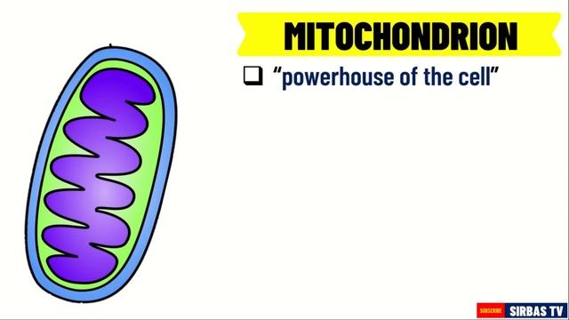 PARTS AND FUNCTIONS OF A CELL SCIENCE 7 QUARTER 2 MODULE 3