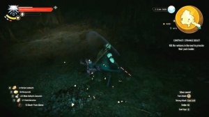 Witcher 3 Wild Hunt The Last Contract Strange Beast Walkthrough