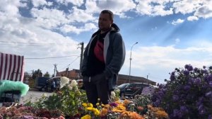 ВОТ И ПРИШЛА ХОЛОДНАЯ ОСЕНЬ