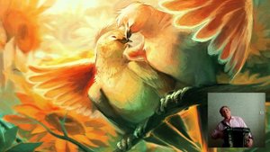 Сандугач, күгәрчен. Татар халык жыры. Жырнын сузлэре видео астында.