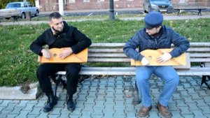 Заяристая (сумецкая) на гуслях