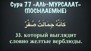 Сура 77 аль-Мурсалат (арабские и русские титры) - Мухаммад Люхайдан