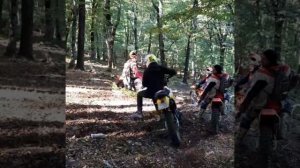 VID_20241007_023616_014.mp4