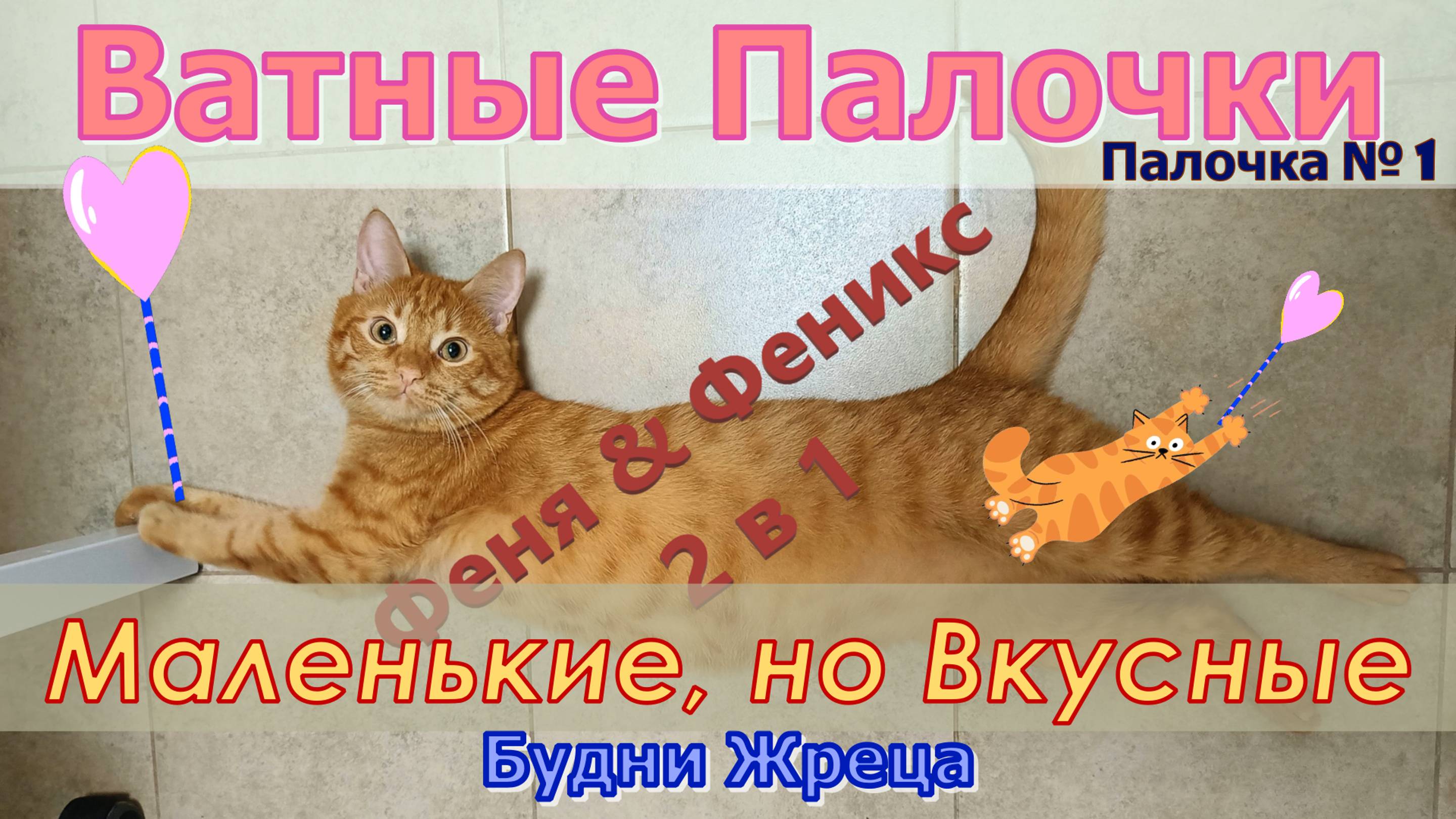 Ватные Палочки. Палочка № 1. Маленькие, но Вкусные. Кот Феня, он же Феникс