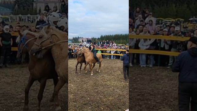 День коня в Татарстане.mp4