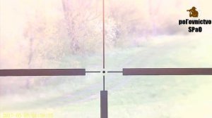 Megaorei 3 ( day/night )