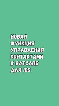 Новая Функция Управления Контактами В Ватсапе Для iOS