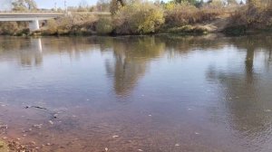 На берегу р.Сура 🚣 🚮 07.10.2024 г.