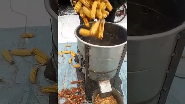 кукурузолущилка, переработка кукурузы 2