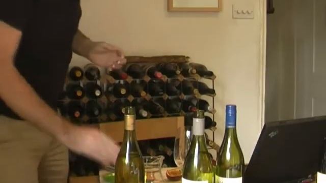 tasting Sauvignon Blanc смотреть онлайн