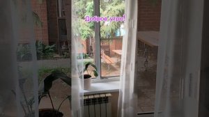 Утро в загородном доме