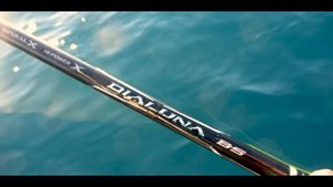 Shimano Twin Power XD 3000