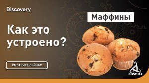 КАК ЭТО УСТРОЕНО: МАФФИНЫ | DISCOVERY