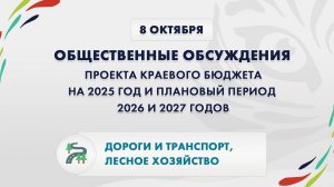 Общественные обсуждения бюджета на 2025 год: дороги, транспорт и лесное хозяйство