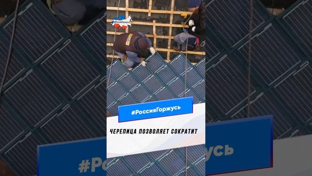Берман Ирина    Солнечная черепица