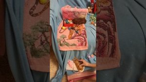 Первое видео, про сквиш собачек 🐶 Вечер моих собак🌷🌸