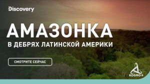 В ДЕБРЯХ ЛАТИНСКОЙ АМЕРИКИ: АМАЗОНКА | DISCOVERY