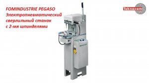 FOMINDUSTRIE PEGASO - Электропневматический одноголовый сверлильный станок с двумя шпинделями