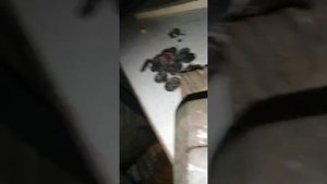 Разбор КТ803 - КТ808