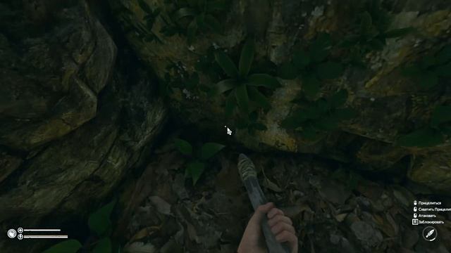 GREEN HELL v1.2 ▶ Выживание #5 ▶ Максимальная сложность ▶ День 6: Рай в Зеленом Аду! смотреть онлайн