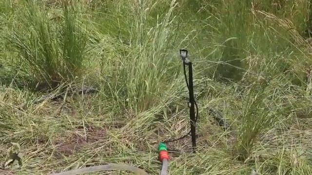 разбрызгиватель на колышке микрокапли